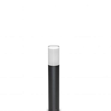 Lapas blanco middelgroot 4W