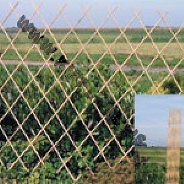 Harmonica Bamboe Trellis 90x180 cm