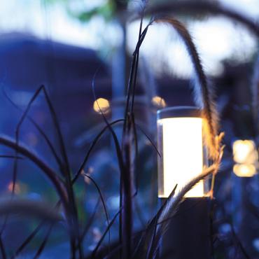 LIV LOW Rose Silver 12V solitary 2.5 VA