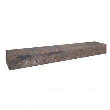 betonbiels 12x20x120 bruin