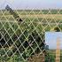 Harmonica Bamboe Trellis 90x180 cm