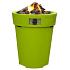 COSIDRUM 70 LIME