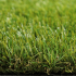 Royal Grass® Seda  2m breed *