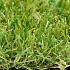 Royal Grass® Wave 4m breed *
