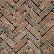 Gebakken Dikformaat oud Lemmer 20x6.5x6 cm getr