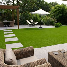 Royal Grass