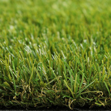 Royal Grass® Seda  2m breed *