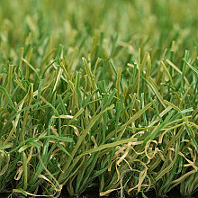 Royal Grass® Sense 4m breed
