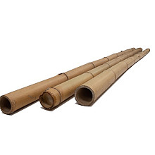 Bamboepalen voor decoratie 300 cm 10/12 cm